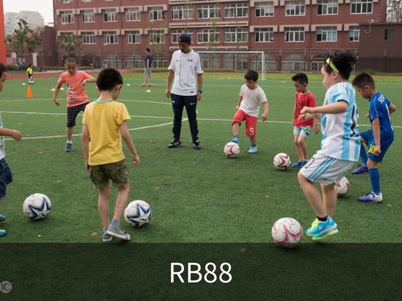 RB88介绍